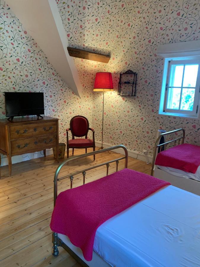 Le Donjon D'Anthon Bed and Breakfast Εξωτερικό φωτογραφία